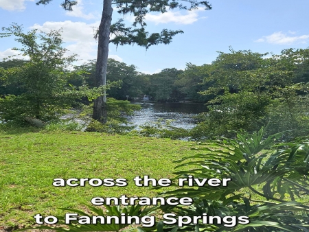 Suwannee River frontage. 2 lots, 2 mobiles, looking at Fanning Springs: Px7 px7
